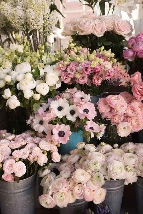 Meadow Muse: Wild & Whimsical Array